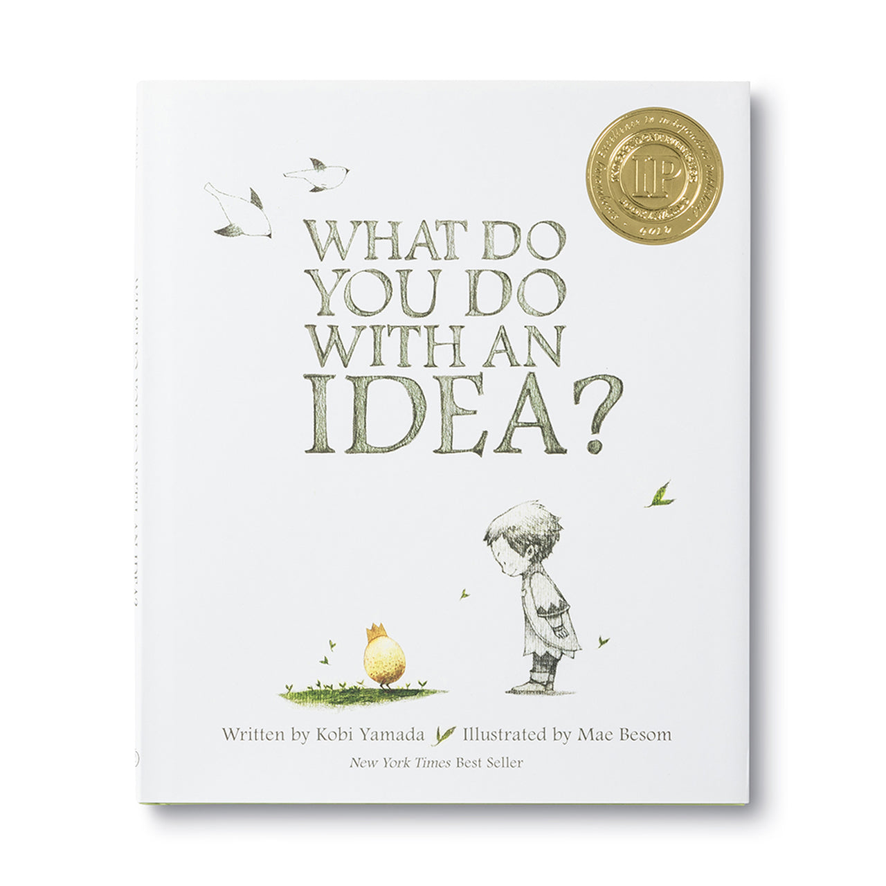What To Do With An Idea?